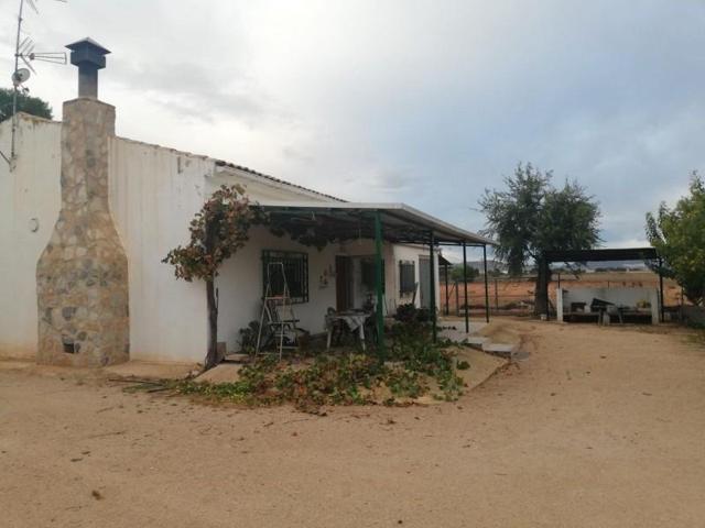Casa con terreno en venta en Yecla, Ayuntamiento photo 0