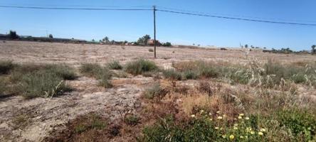 Terreno en venta en Elche, Alzabares photo 0