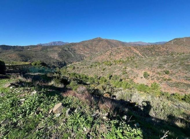 Terreno en venta en Benahavís, Monte Mayor photo 0