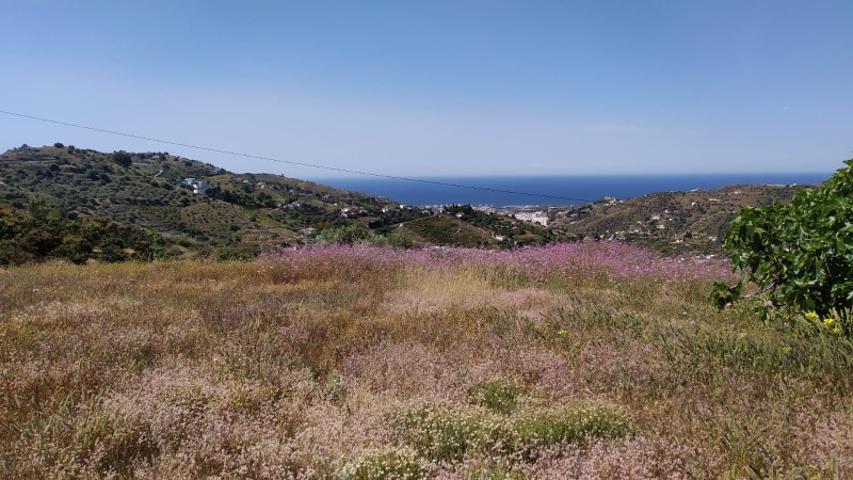 Casa con terreno en venta en Torrox, Coscoja photo 0