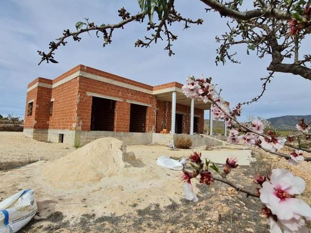 Chalet en venta en Pinoso, Comunidad valenciana photo 0