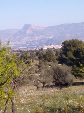 Terreno en venta en Monovar-Monover, Collao victoriano photo 0