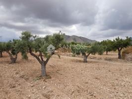 Terreno en venta en Hondon de las Nieves, Canalosa photo 0