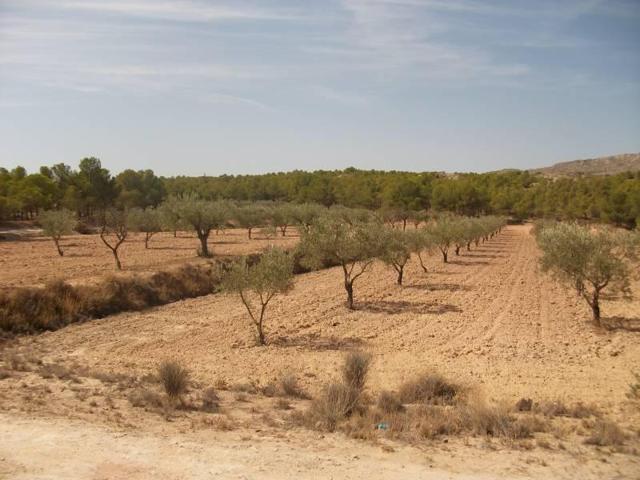 Terreno en venta en Sax, El plano photo 0