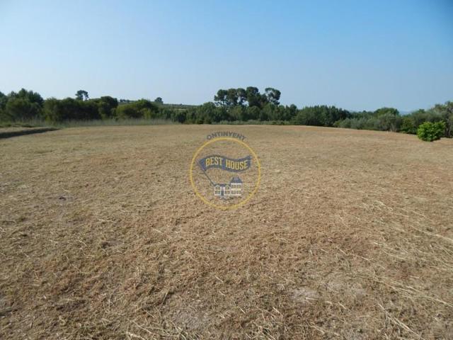 Terreno en venta en Albaida, Centro photo 0
