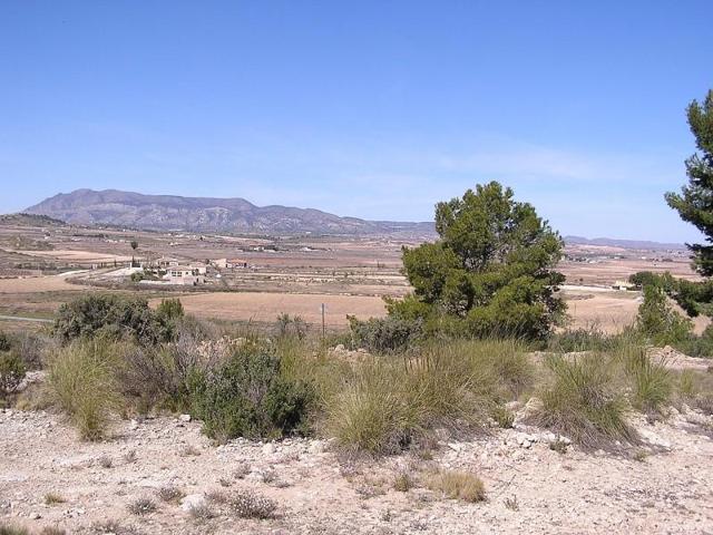 Terreno en venta en Pinoso photo 0
