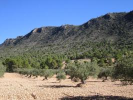 Terreno en venta en Yecla photo 0