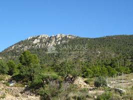 Terreno en venta en Hondon de las Nieves, UMBRIA photo 0