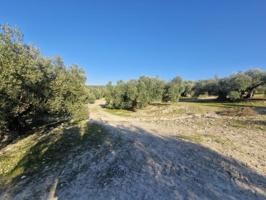 Terreno en venta en Montilla, Montilla photo 0