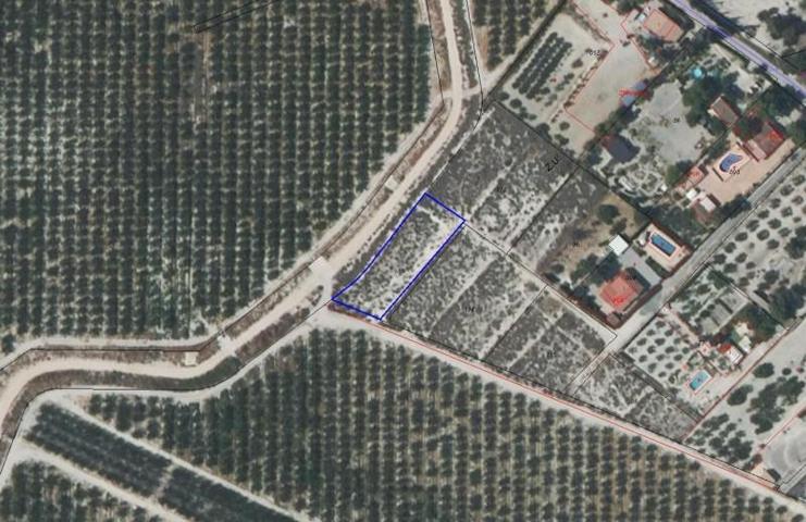 Terreno en venta en Molina de Segura, La Hornera photo 0