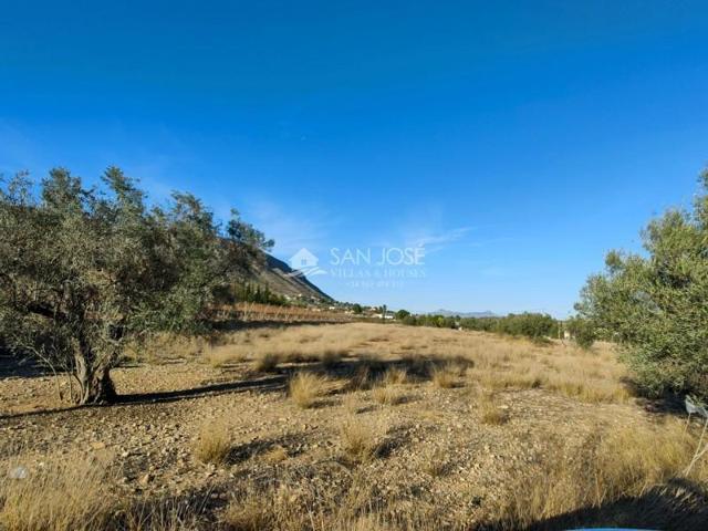 Terreno en venta en Hondon de las Nieves, SOLANA photo 0