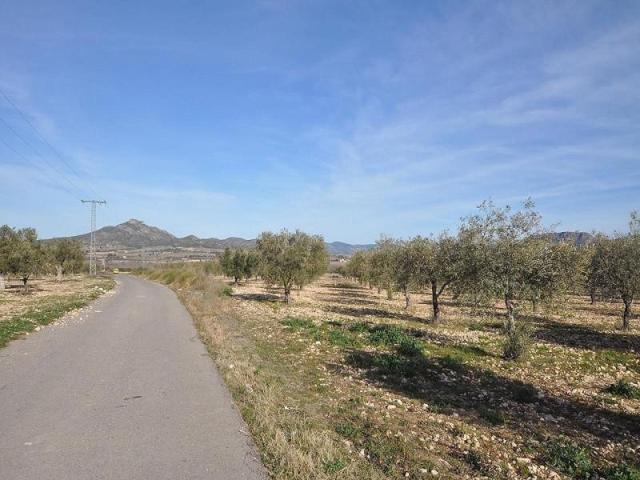 Terreno en venta en Salinas photo 0