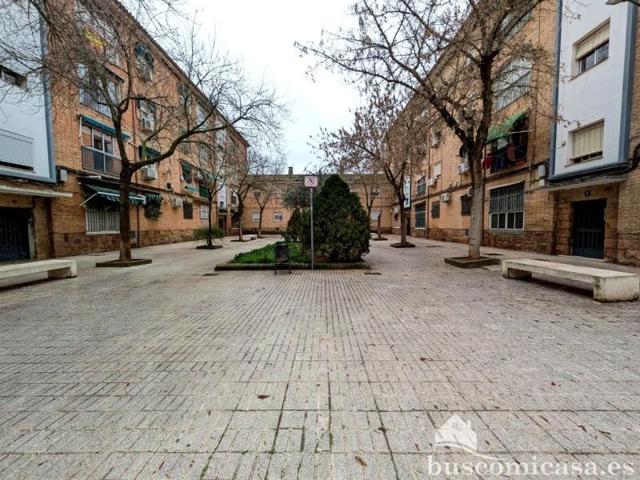 Piso en venta en Linares, Paseo de la Alameda, 23700 photo 0