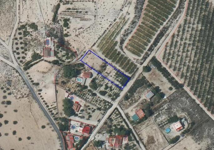 Terreno en venta en Molina de Segura, El Pino photo 0