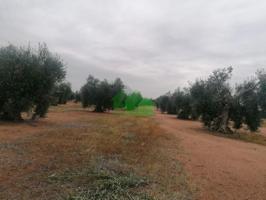 Terreno en venta en Montijo, LAS CUESTAS photo 0