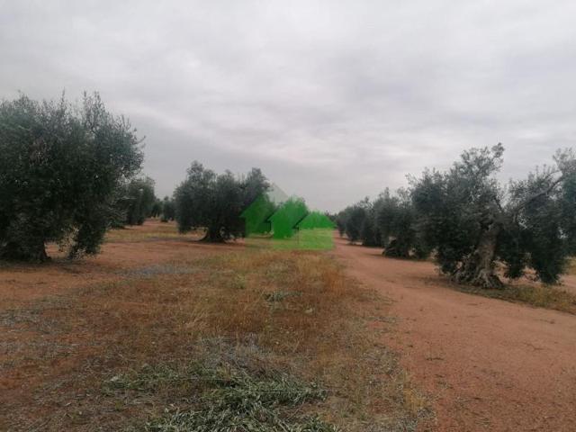 Terreno en venta en Montijo, LAS CUESTAS photo 0