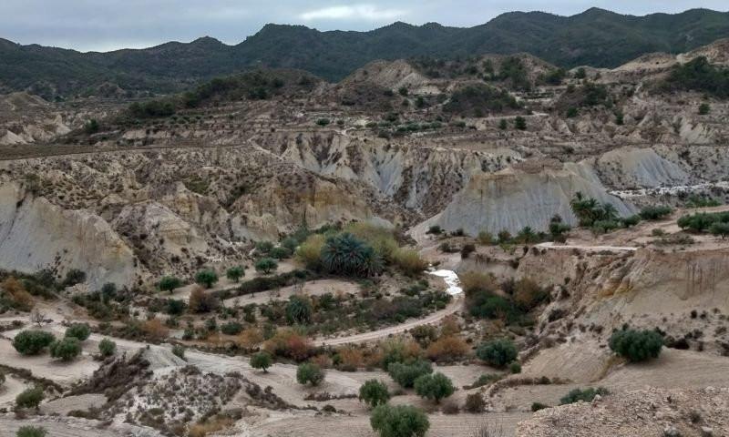Terreno en venta en Abanilla photo 0