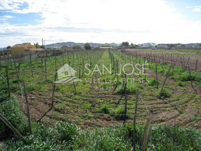 Terreno en venta en Aspe, Aspe photo 0