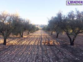 Terreno en venta en Salinas, Salinas photo 0