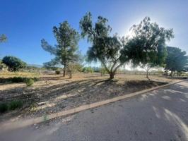 Terreno en venta en Pinoso photo 0