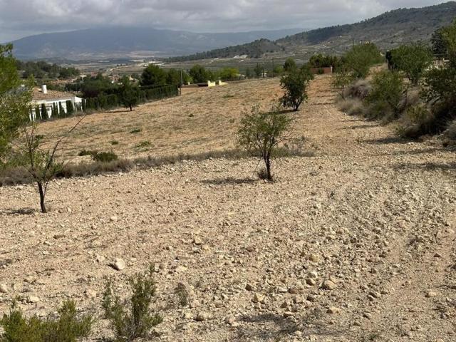 Terreno en venta en Monovar-Monover, Las encebras photo 0