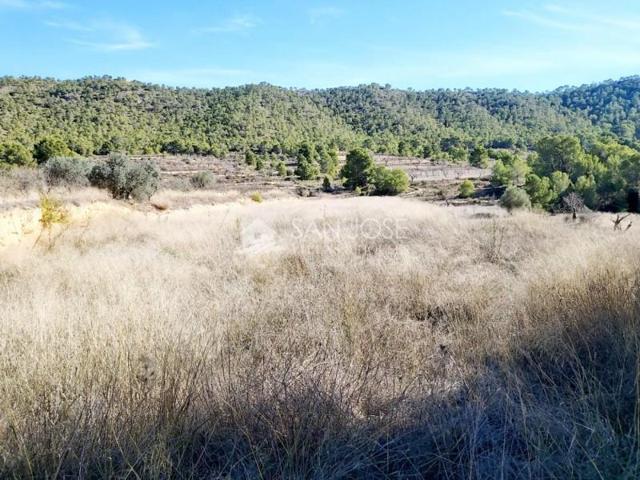 Terreno en venta en Monovar-Monover, LA ROMANETA photo 0