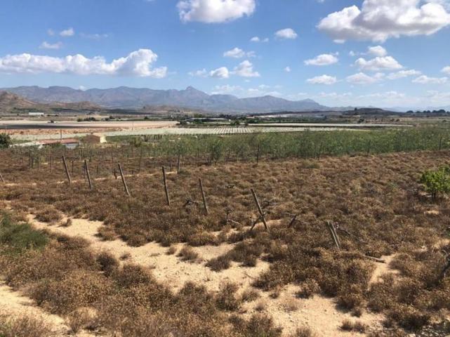 Terreno en venta en Monforte del Cid, ESPEJERAS photo 0