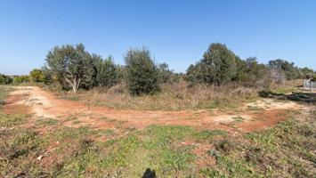 Terreno en venta en Denia photo 0