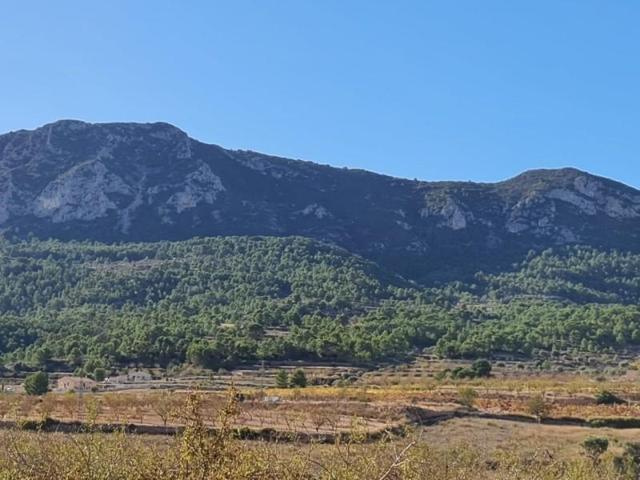 Terreno en venta en La Romana photo 0