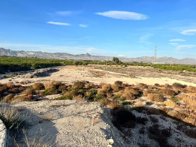 Terreno en venta en Benferri, Campo photo 0