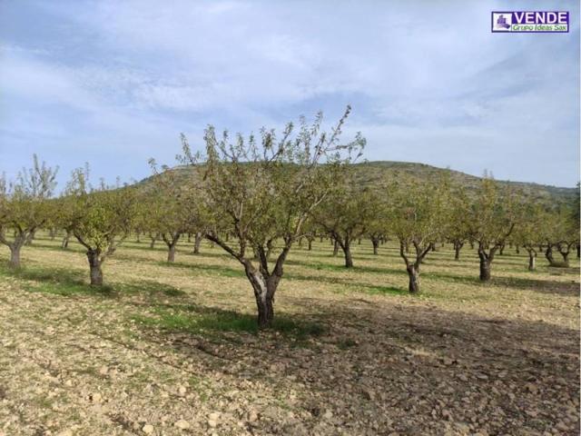 Terreno en venta en Sax, Sax photo 0
