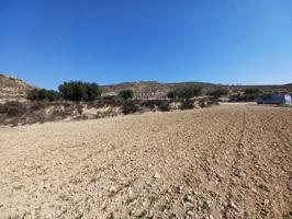 Terreno en venta en Pinoso photo 0