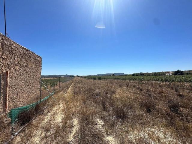 Terreno en venta en Pinoso photo 0