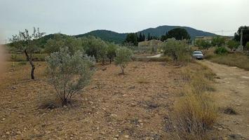 Terreno en venta en Monovar-Monover photo 0