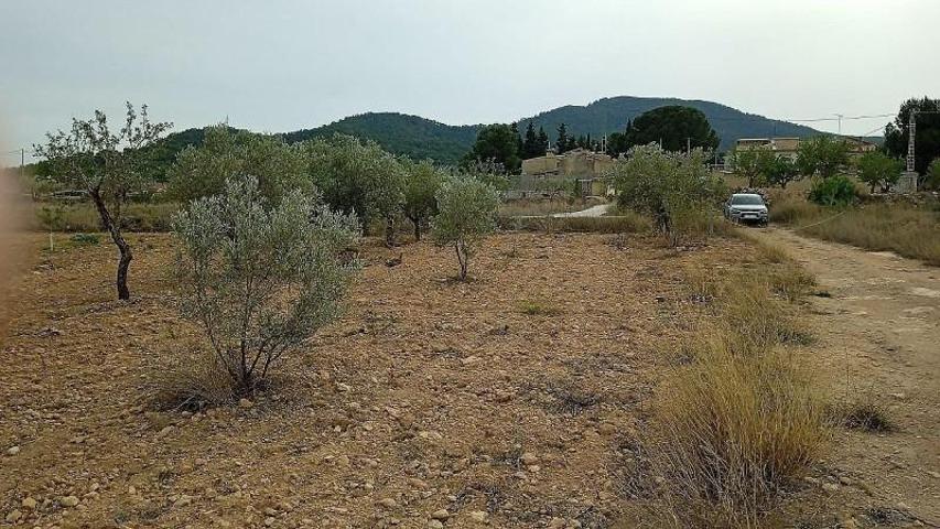 Terreno en venta en Monovar-Monover photo 0