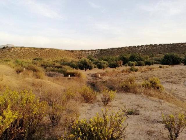 Terreno en venta en Mazarrón, Cañadas del Romero photo 0