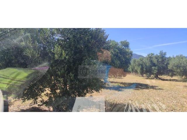 Terreno en venta en Cantallops photo 0
