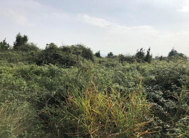 Terreno en venta en Carcaixent, Centro photo 0