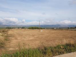 Terreno en venta en Cañada, 03409 photo 0
