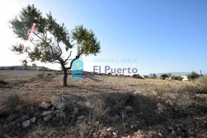 Terreno en venta en Fuente Álamo de Murcia, LAS PALAS photo 0