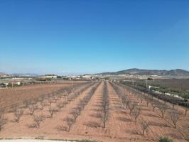 Terreno en venta en Pinoso photo 0