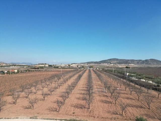Terreno en venta en Pinoso photo 0