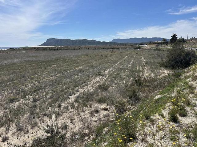 Terreno en venta en Hondon de las Nieves photo 0