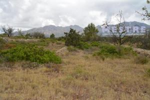 Terreno en venta en Lliber photo 0
