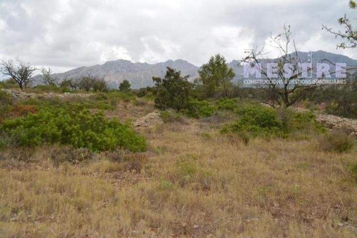 Terreno en venta en Lliber photo 0