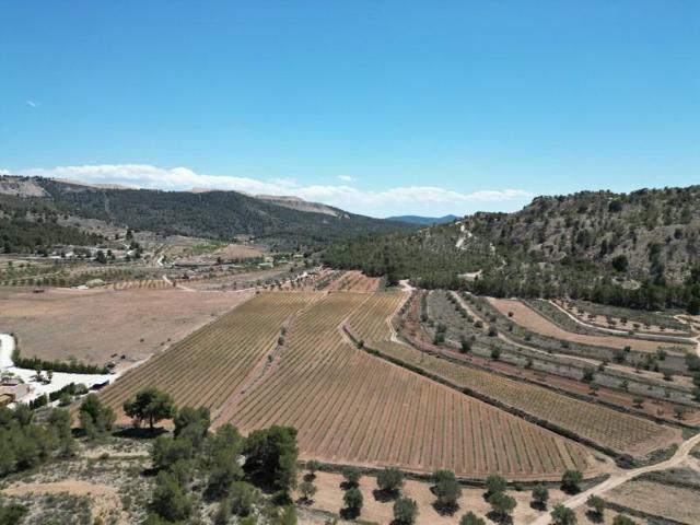 Terreno en venta en Pinoso photo 0