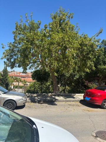 Terreno en venta en Molina de Segura, El chorrico photo 0