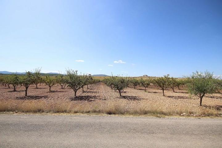 Terreno en venta en Pinoso photo 0