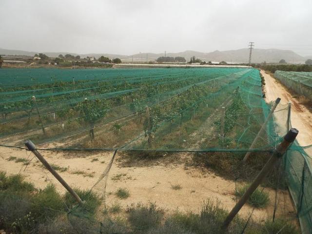 Terreno en venta en Monforte del Cid photo 0