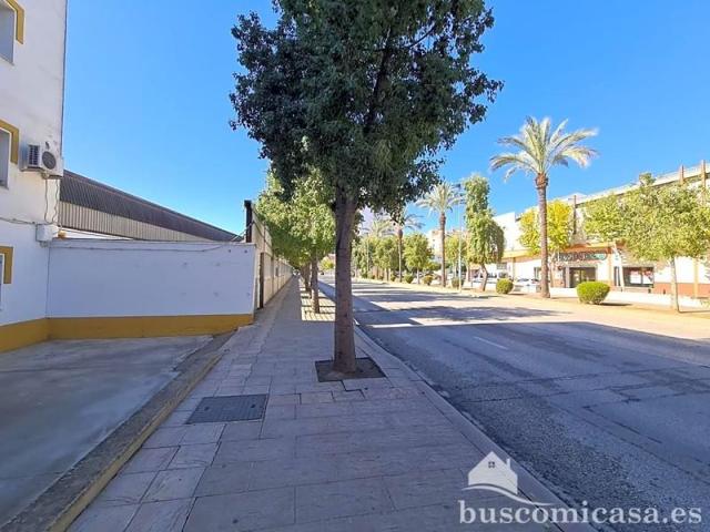 Piso en venta en Andújar, Avenida Blás Infante, 23740 photo 0